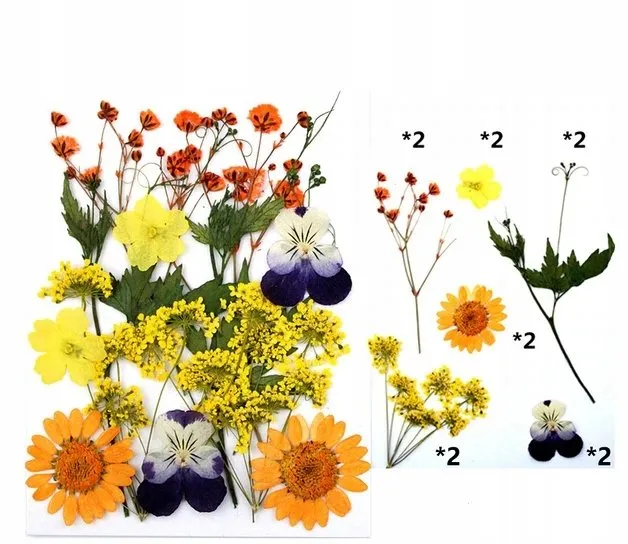 jak przygotować kwiaty do żywicy