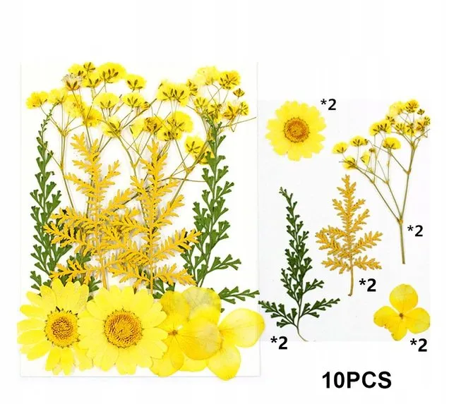 naturalne suszone kwiaty do żywicy